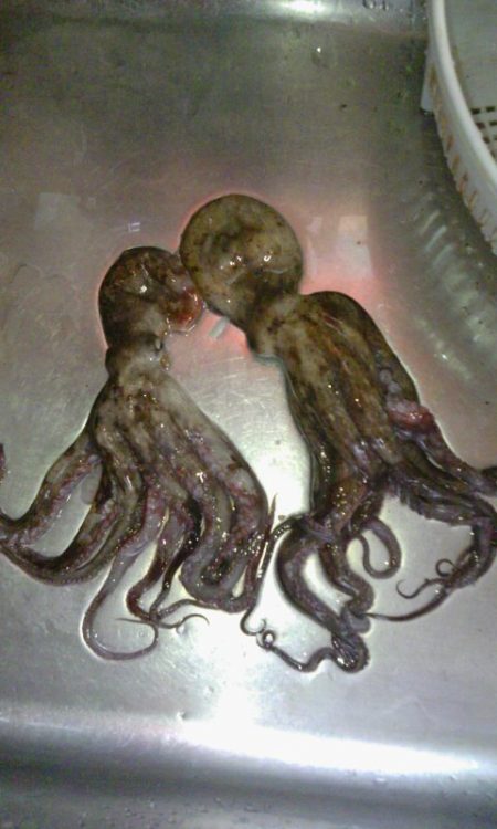 人が多い中の釣り